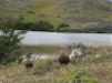 trekking patagonia