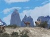 trekking patagonia