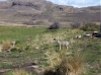 chile-adventure-torres-del-paine-ski-mountainbike